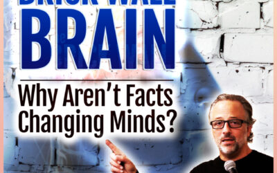 Brick Wall Brain, Seth Andrews